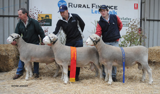 Braun 2010 Sheepvention