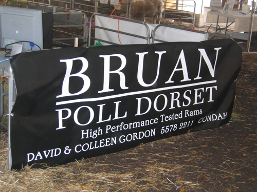Bruan site at Sheepvention 2011