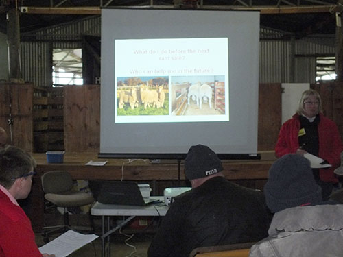 Bruan Poll Dorset Ram select workshop 2013